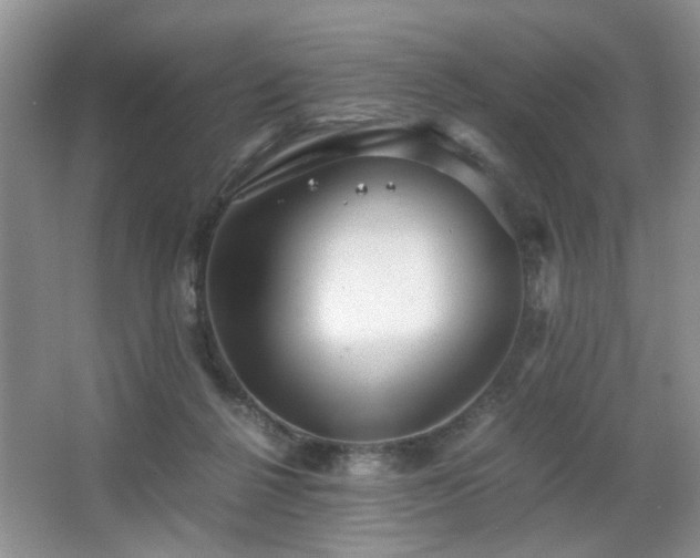 X0000063500264200601201420