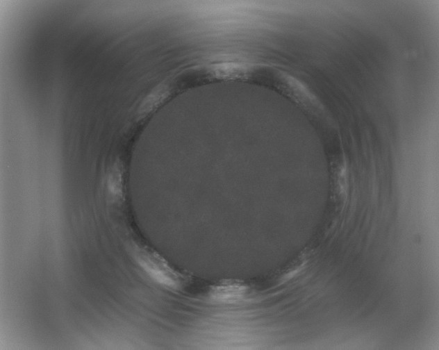 X0000063500266200601201420