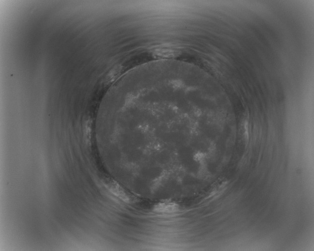 X0000063500271200601201420