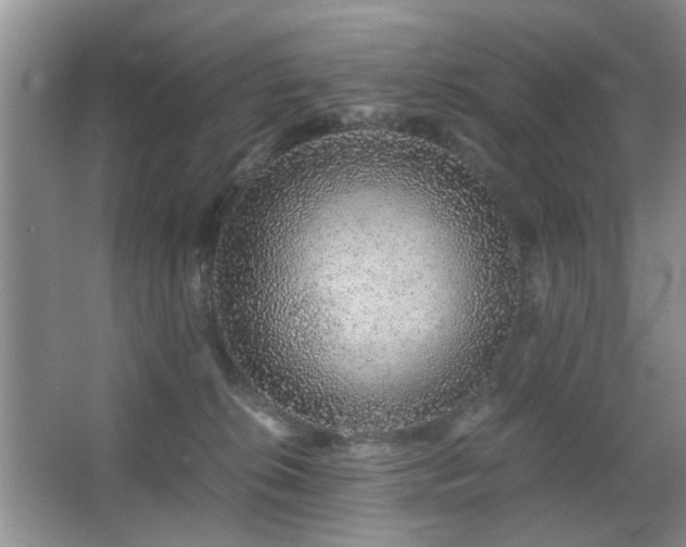 X0000063500276200601201420