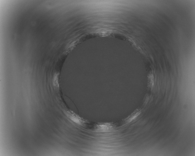 X0000063500286200601201421