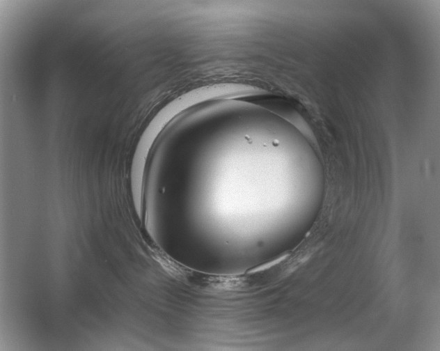 X0000063500288200601201421