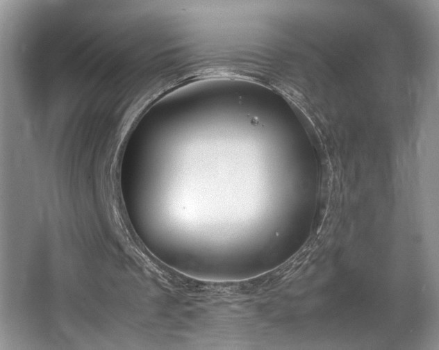 X0000063500289200601201420
