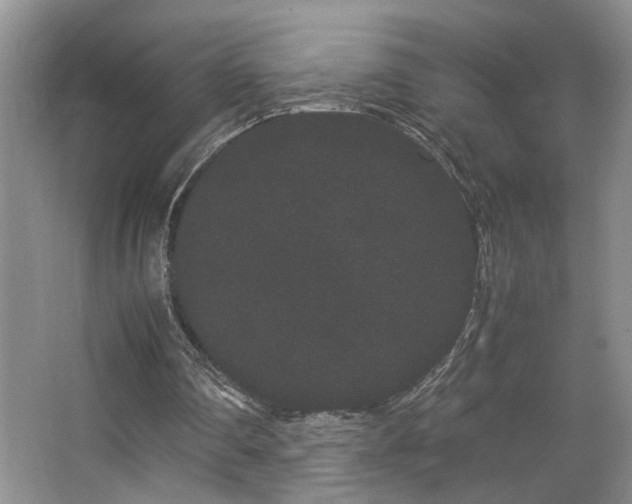 X0000063500290200601201420