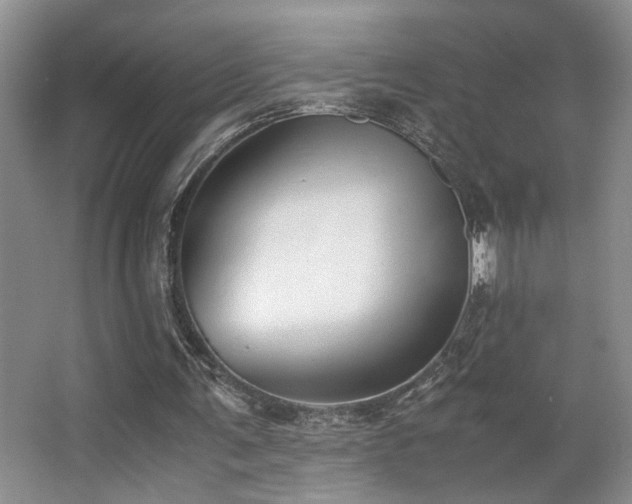 X0000063500291200601201420