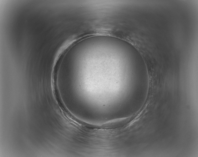 X0000063500294200601201420