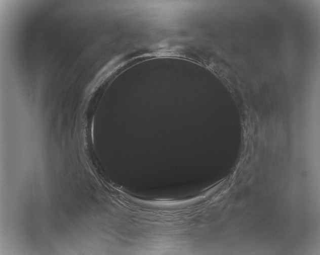 X0000063500295200601201420