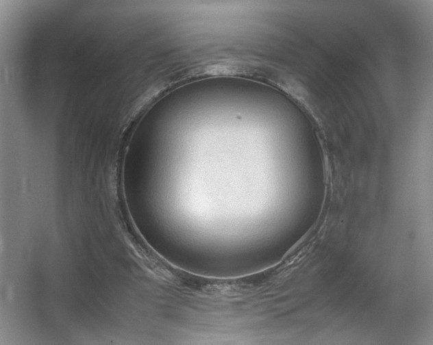 X0000063500297200601201420