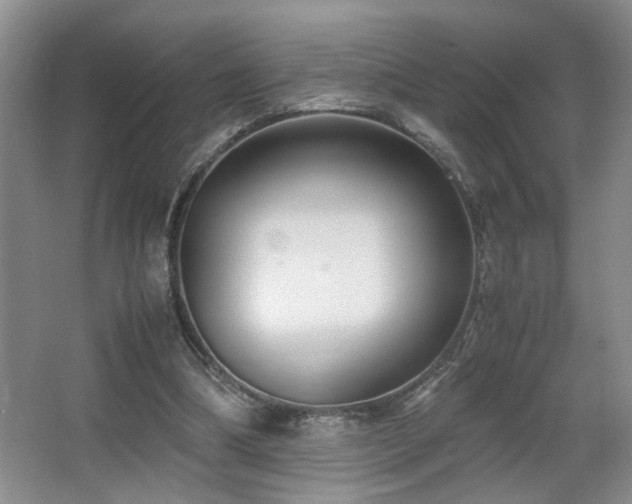X0000063500298200601201420