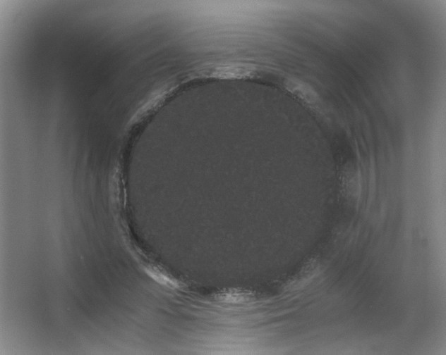 X0000063500303200601201420