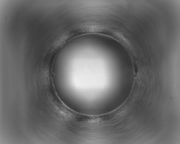 X0000063500306200601201419