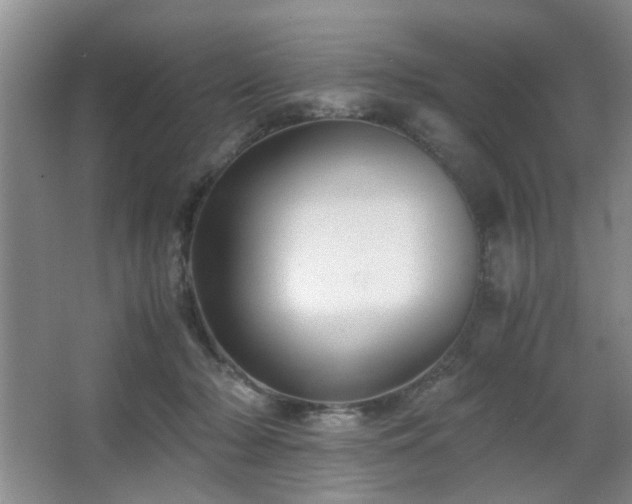 X0000063500318200601201419