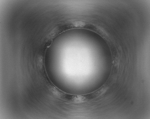 X0000063500321200601201419