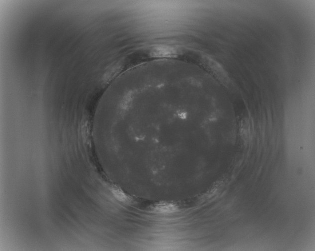 X0000063500322200601201419
