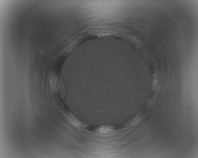 X0000063500327200601201419