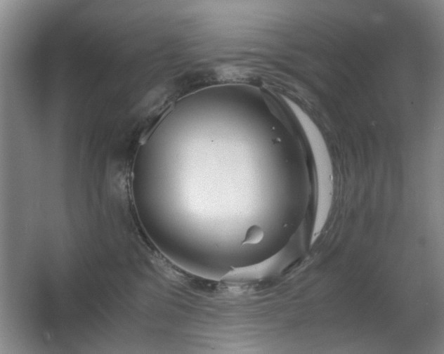 X0000063500329200601201419