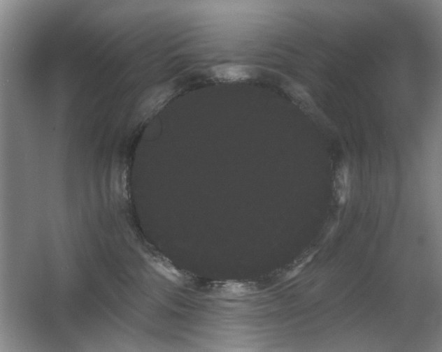 X0000063500330200601201419