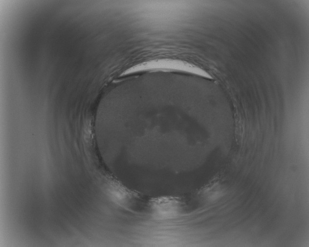 X0000063500331200601201419
