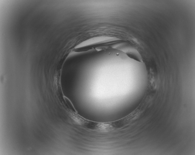 X0000063500333200601201419