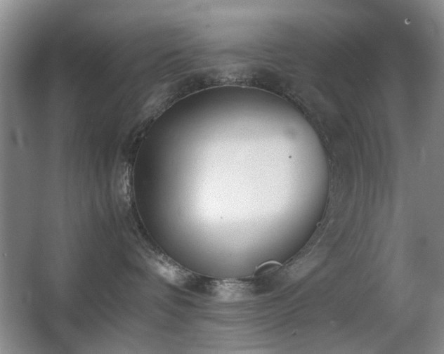 X0000063500336200601201419
