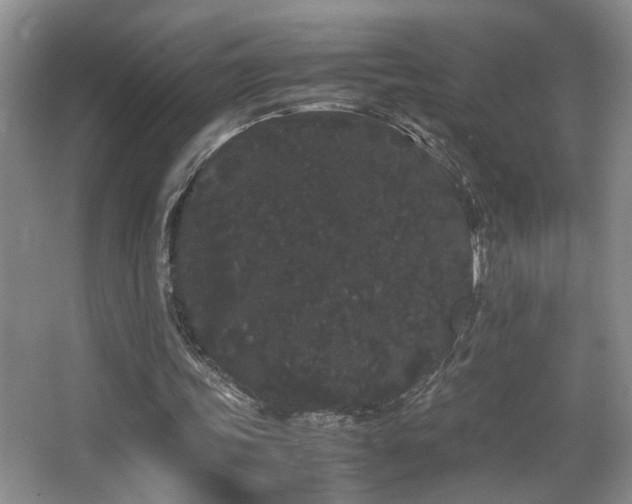 X0000063500339200601201418