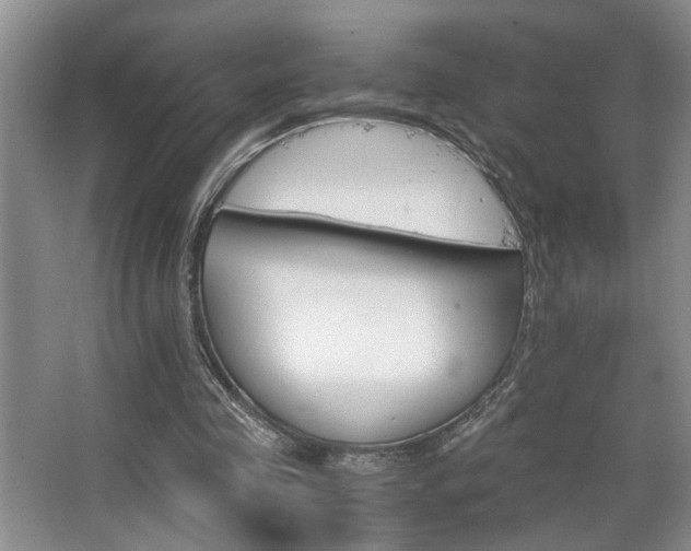 X0000063500341200601201418