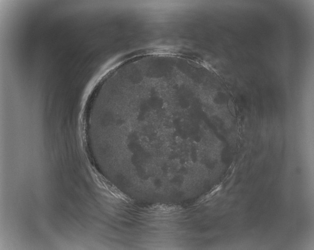 X0000063500343200601201418