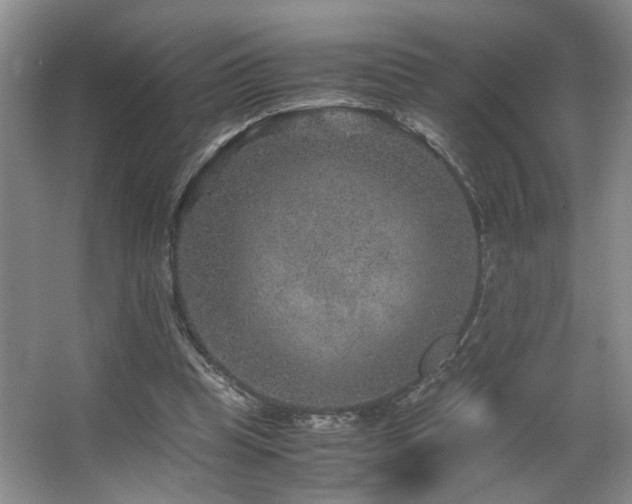 X0000063500345200601201418