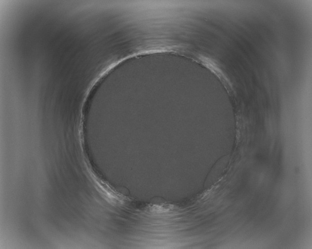 X0000063500346200601201418
