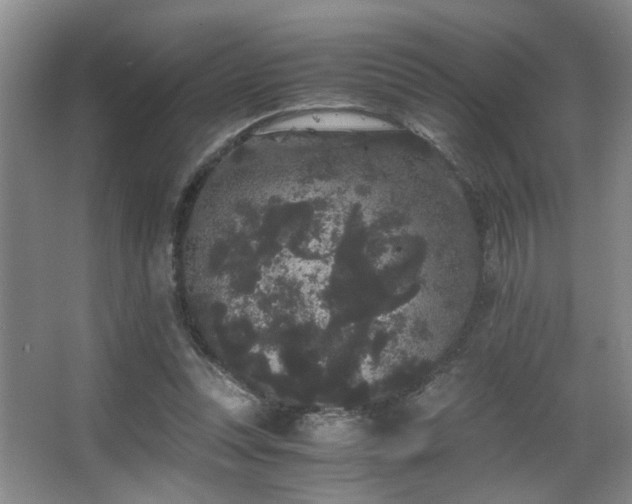 X0000063500351200601201418