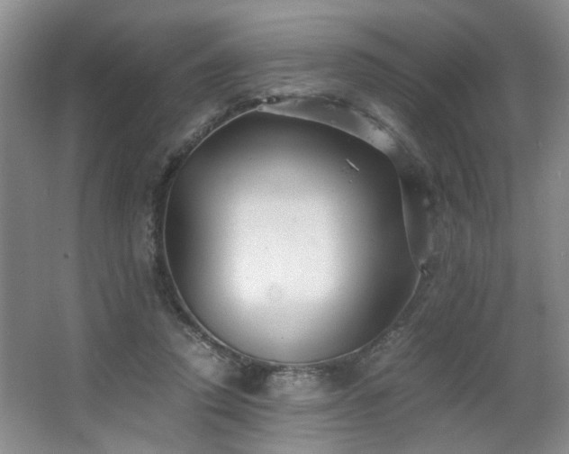 X0000063500354200601201418