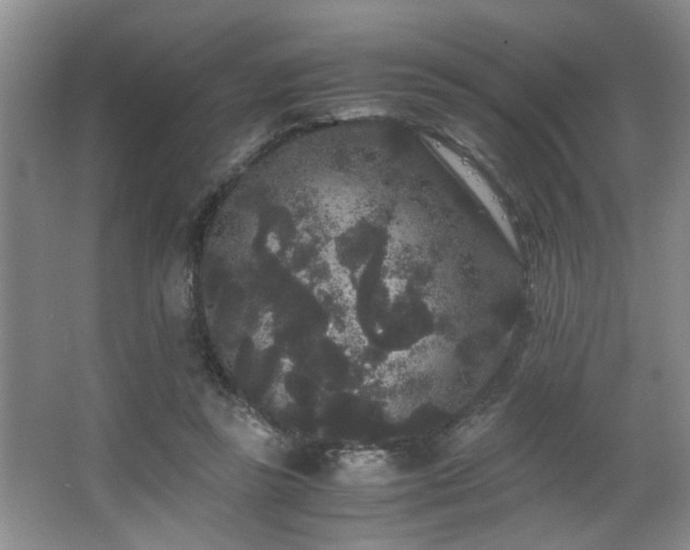 X0000063500355200601201418