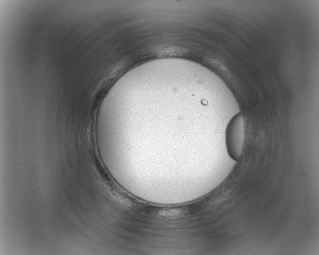 X0000063500357200601201418