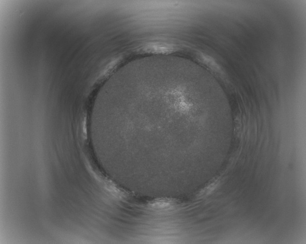 X0000063500358200601201419