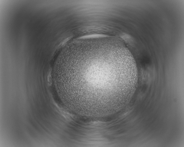 X0000063500360200601201419