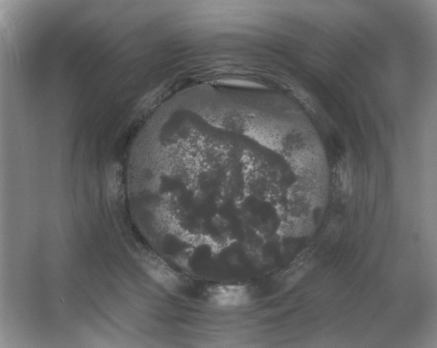 X0000063500361200601201419