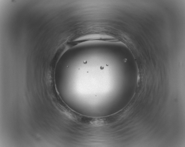X0000063500362200601201419