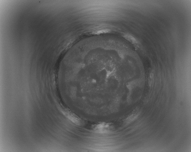 X0000063500366200601201419