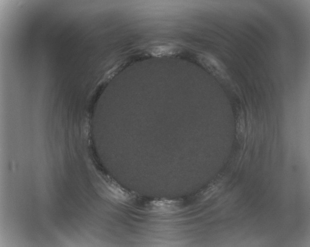 X0000063500367200601201419