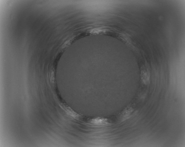 X0000063500375200601201419