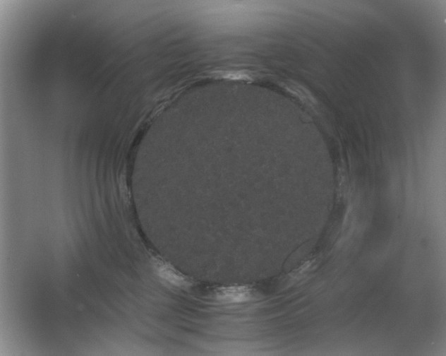 X0000063500377200601201419