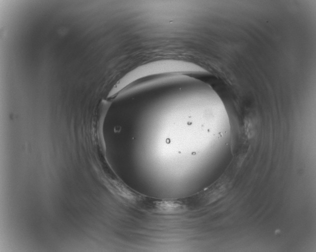 X0000063500380200601201419
