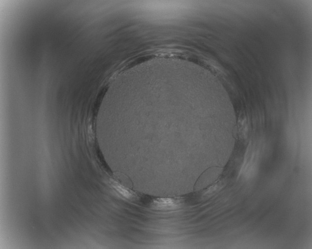 X0000063500381200601201419
