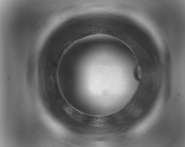 X0000063500382200601201419