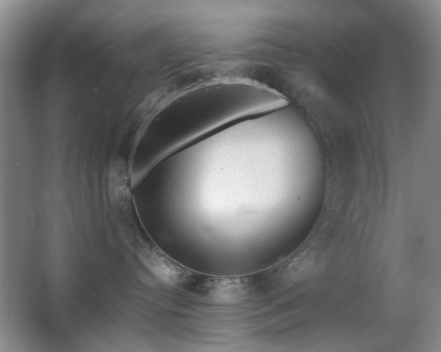 X0000063500384200601201419