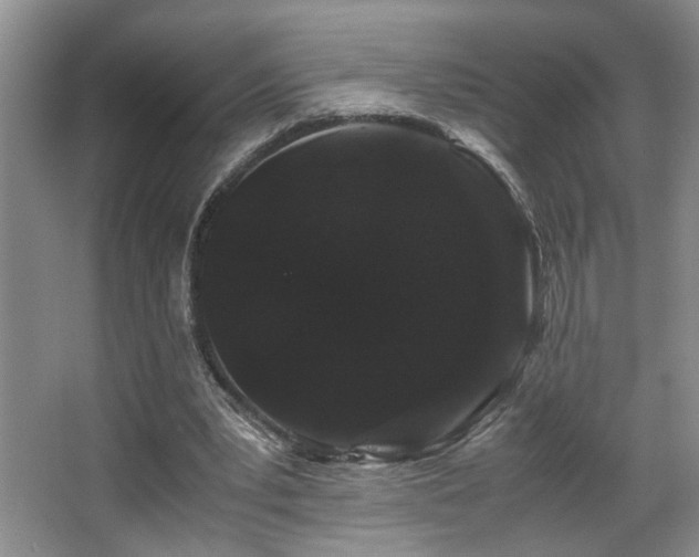 X0000063500391200601201418