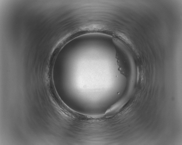 X0000063500392200601201418