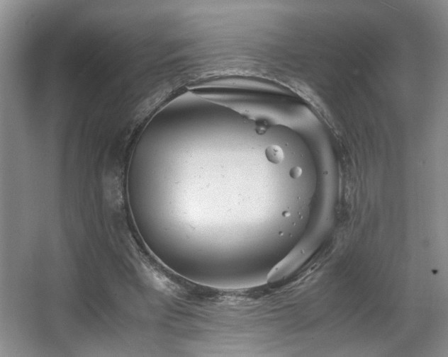 X0000063500393200601201418