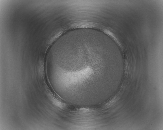 X0000063500394200601201418
