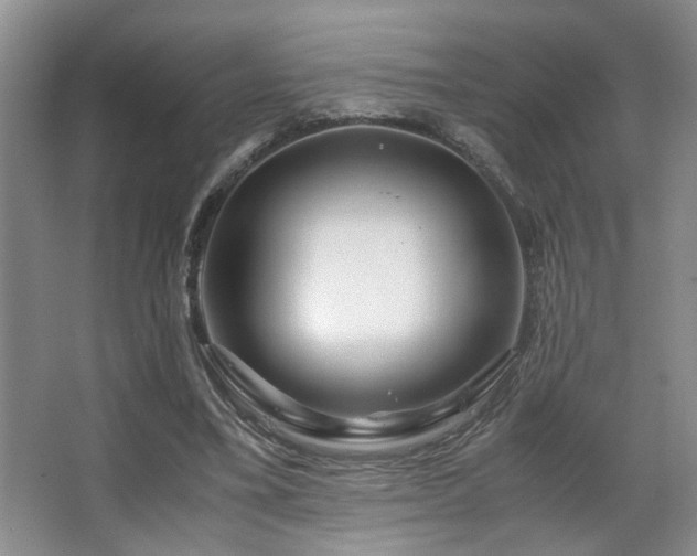 X0000063500395200601201418